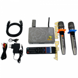 Videoke Delivery